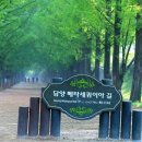 메카민박 이미지