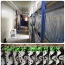 큐리농장 이미지