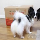 마카롱팩토리 이미지
