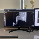 리버동물의료센터 이미지