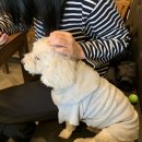 고기카페 이미지
