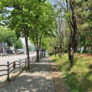 고려메디웰의원 이미지