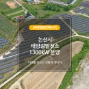 태영 태양광발전소1호 이미지