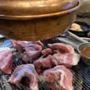코야 - 경주시 용담로92번길 5 | 코야
