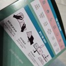 강아지털, 고양이털 청소 필수템:: 닥터에클린 더클