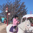 예안농장 이미지