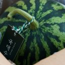 국대농장 이미지