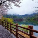 힐링스토리펜션 이미지