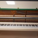 베토벤피아노사 이미지