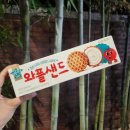 연산(릴)-9 | 역마살을 인간으로 만들면