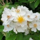 북여주IC화장실 이미지