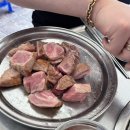 박대포 티스토리