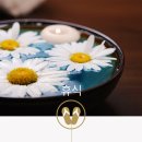 기포쉼터 이미지