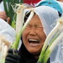 일파 이미지
