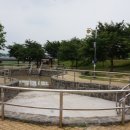 강변공원 펜션 이미지