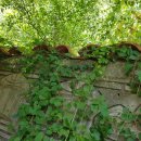 상중농장 이미지