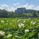 해남공룡박물관 이미지