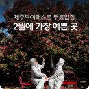 애월시크릿가든 | 2월에 가장 예쁜 카멜리아힐 제주투어패스로 다녀온 후기