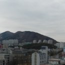 제일.쌍봉시장 이미지