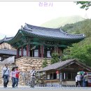 천은사 - 1455 | 천은사