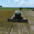 아우농장 이미지