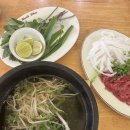 🇻🇳 베트남 나트랑 / 3대 대가족여행 (5) 시내투어 (맛집, 카페, 네일, 마사지, 쇼핑)