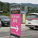 핑크뮬리 꽃단지 원 | [전북/고창] 고창 핑크뮬리축제 가득한 '꽃객 프로젝트' 가을 막차 탑승하세요!!🌸