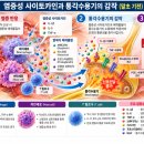 만성통증은 왜 사라지지 않을까? 면역세포·염증·신경계가 만드는 통증의 원인. 이미지