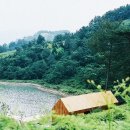 고사리맨션이 이미지