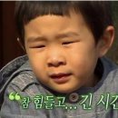 등촌샤브샤브칼국수 이미지