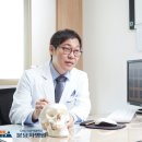 韓 연구진, 세계 최초 태아 뇌 줄기세포 이식해 파킨슨병 치료 효과 확인 이미지