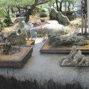 푸른꽃농원 - 고양시 일산동구 식사로 3 | 푸른꽃농원
