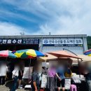 신진도수산