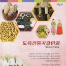 도옥전통한과 이미지