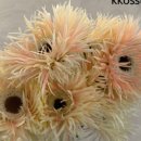 영남화훼농협 이미지