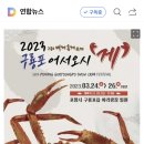 포항 &#39;구룡포 대게축제&#39; 4년 만에 돌아온다…24∼26일 개최ㅡ 예쁜여우님 만나러 갑시다~ 이미지