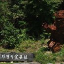318스테이