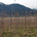 청덕수변생태공원 이미지