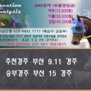 ♣ 12월 31일 일요일 추천마번 이미지