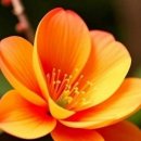 동그라미 이미지