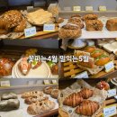 5월 | 수영빵집 꽃피는4월밀익는5월 포장후기