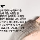 흰머리