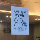 여수진남중학교 | 여수 현지인 미평동 선어회 참치 맛집 추천 아사비 내돈내산 후기