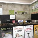 금산헤르쯔 동물병원 | [샤넬이의리뷰] 마이펫플러스 금산헤르쯔 동물병원 슬개골 수술 후기 1탄:) 🐶🐾