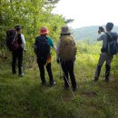 곰치농장 이미지