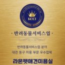 우리 애견 미용실 이미지