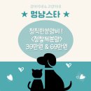 멍냥스타 강아지분양 고양이분양 이미지
