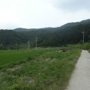 회덕마을 입구 이미지