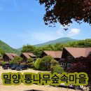 밀양 숲속마을 | 밀양 통나무숲속마을 펜션 후기