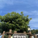바닷가민박 이미지